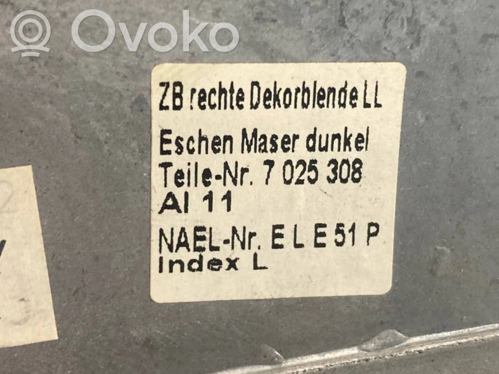 Panel decorative trim shield (central)