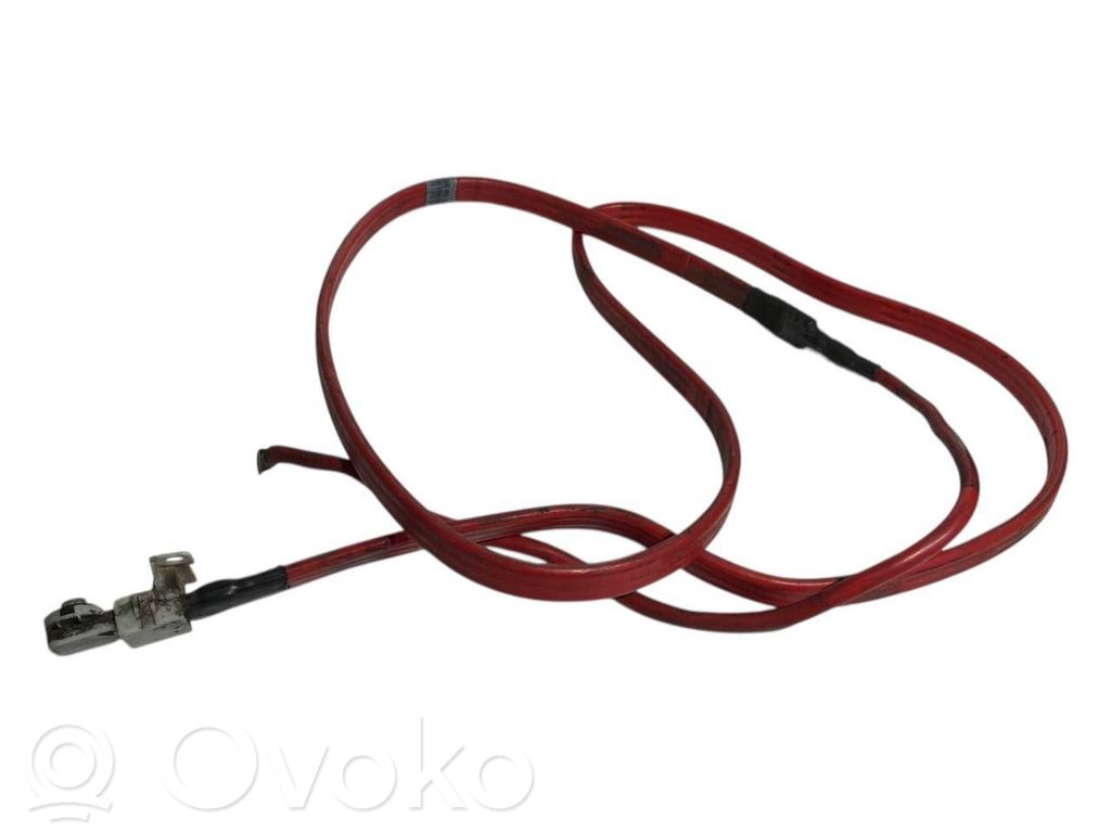 Plusa vads (akumulatora)