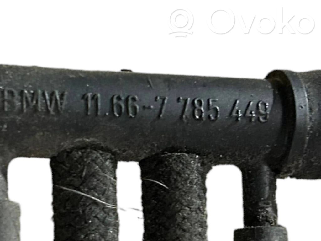 Caurulīte (-es) / šļūtene (-es)