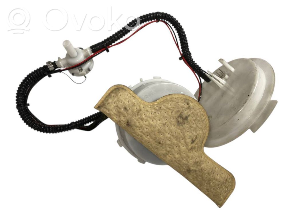 Fuel pump (in the fuel tank)