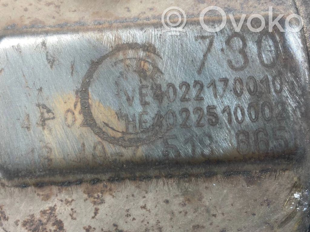 Katalizators, FAP/DPF cieto daļiņu filtrs