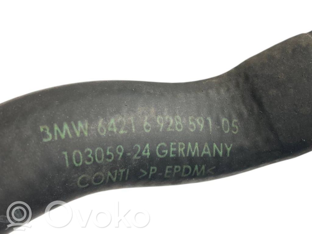 Caurulīte (-es) / šļūtene (-es)