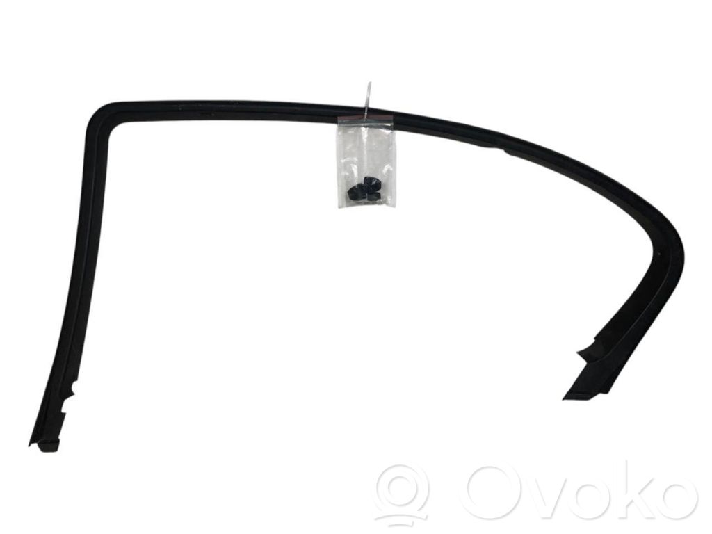 Rear door glass frame