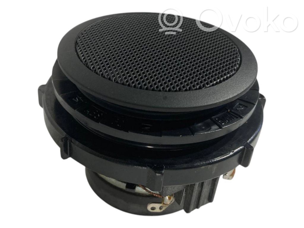 Speaker(s) in the rear door
