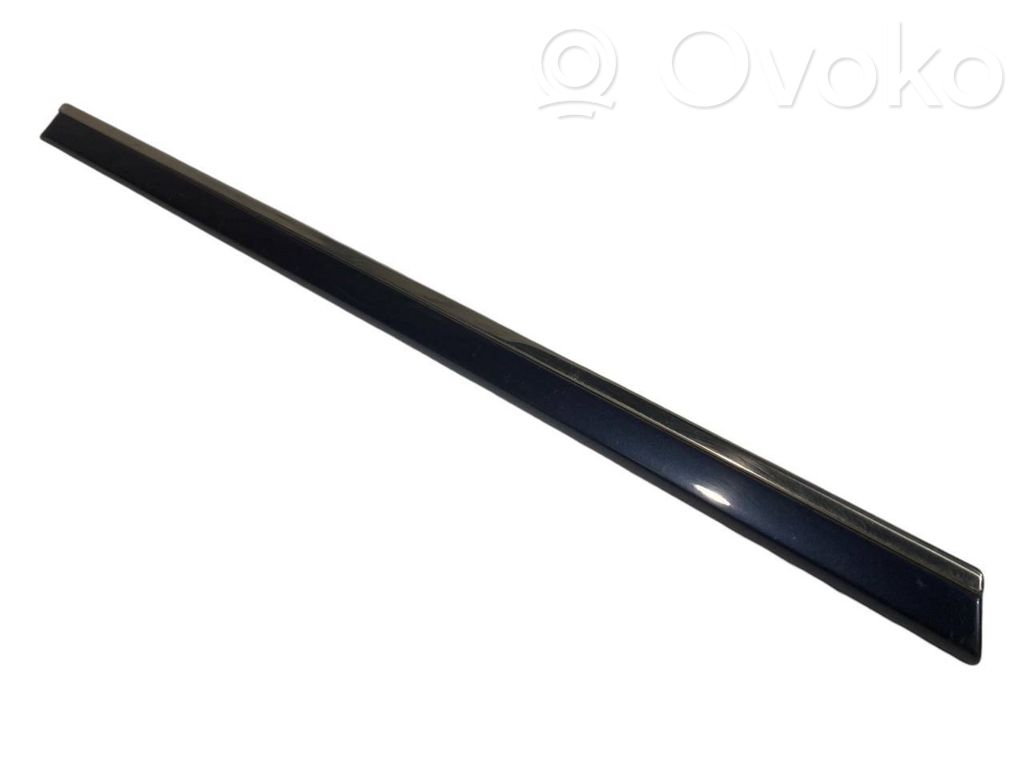 Aizmugurē durvju dekoratīvā apdare (moldings)