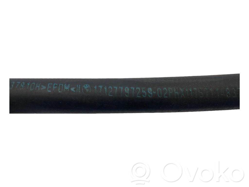 Caurulīte (-es) / šļūtene (-es)