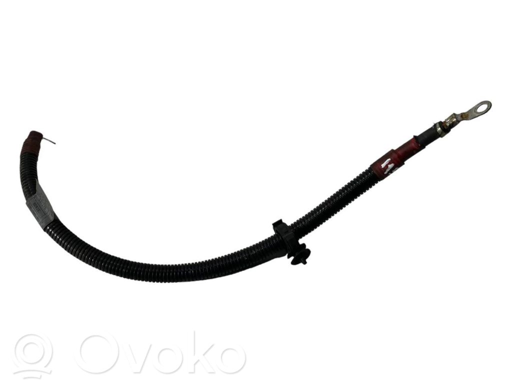 Plusa vads (akumulatora)