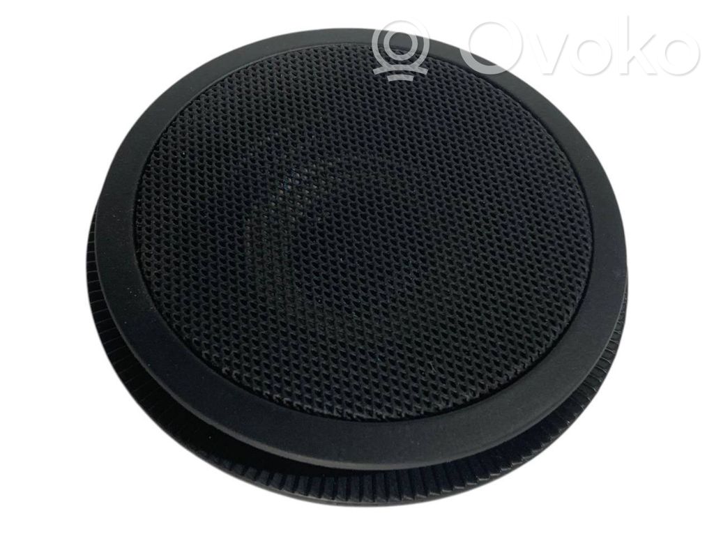 Speaker(s) in front door