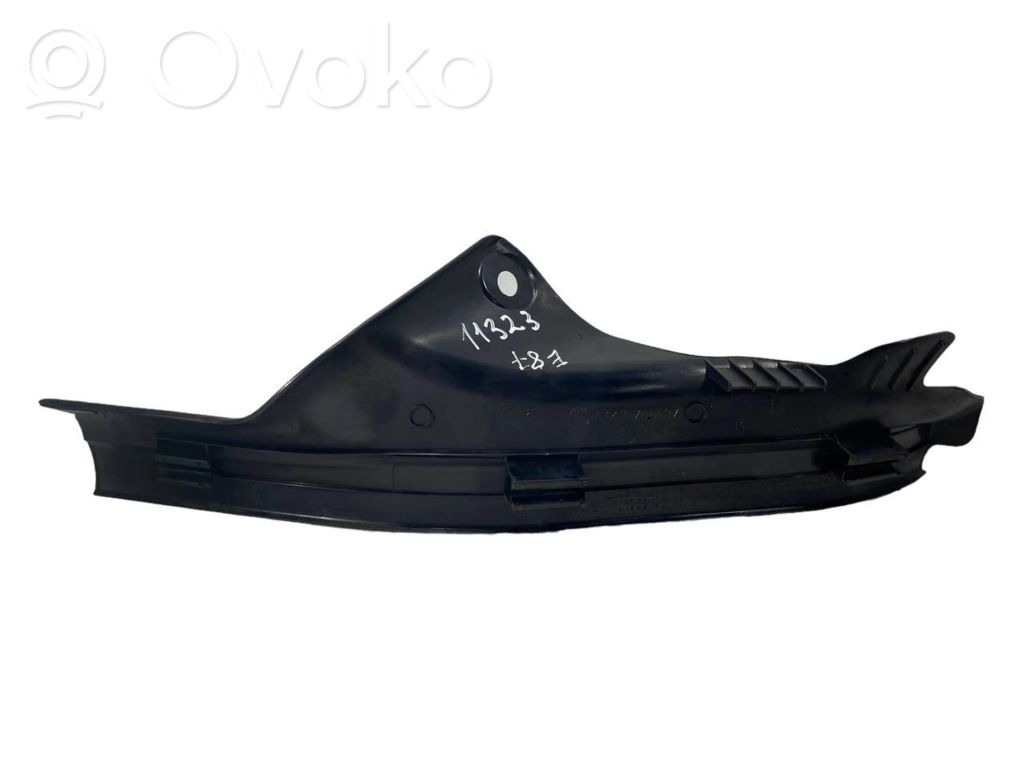 Rear door sill trim (inner)