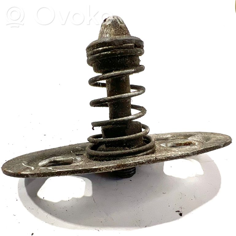 Dzinēja pārsega slēdzene