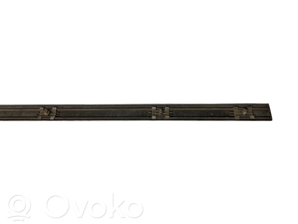 Front door decorative trim (molding)