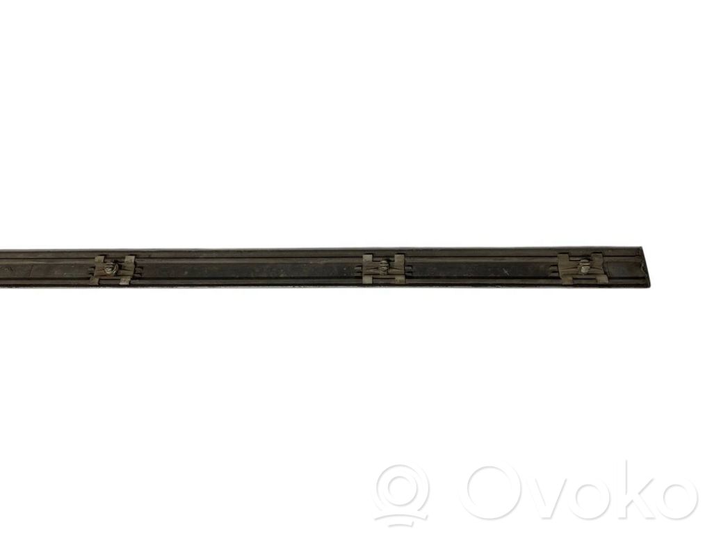 Front door decorative trim (molding)