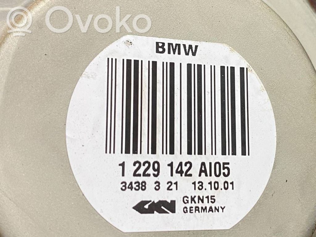 Aizmugurējā pusass