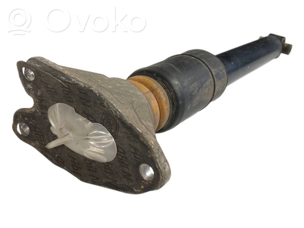Rear shock absorber