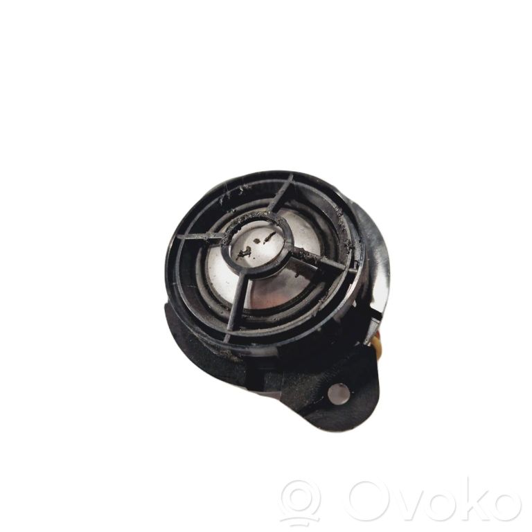 Speaker(s) in the rear door