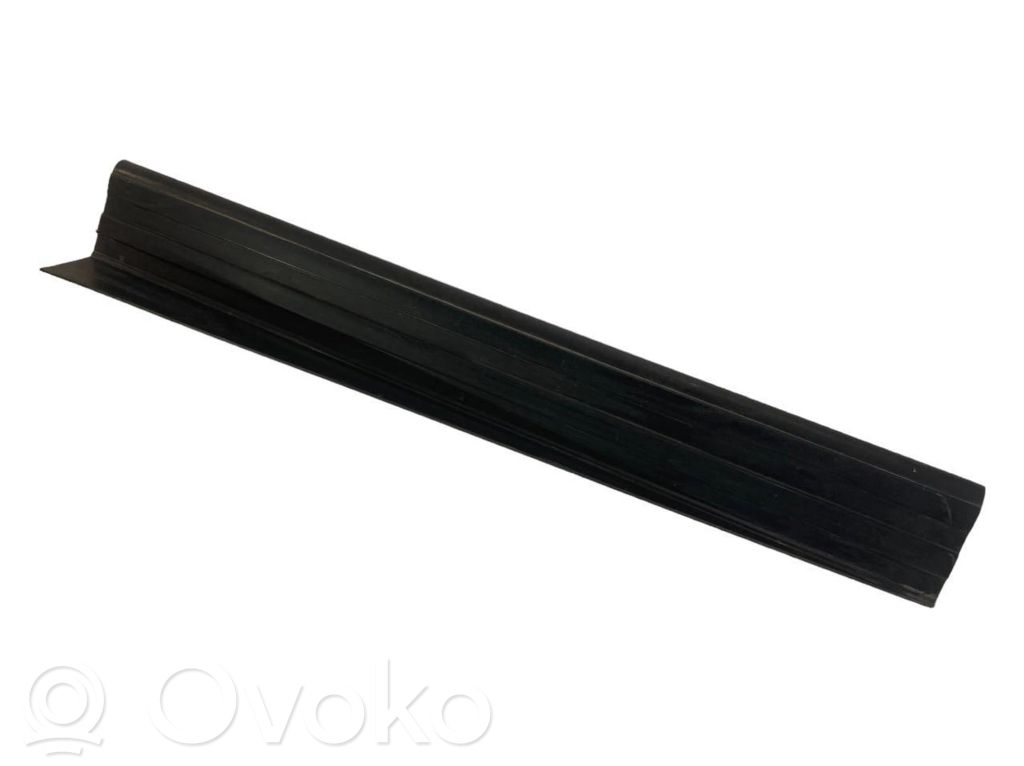 Rear door sill trim (external)