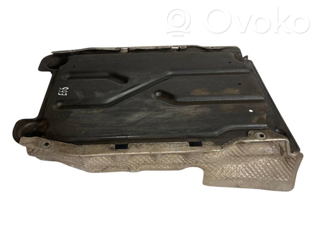 Under engine guard (front)