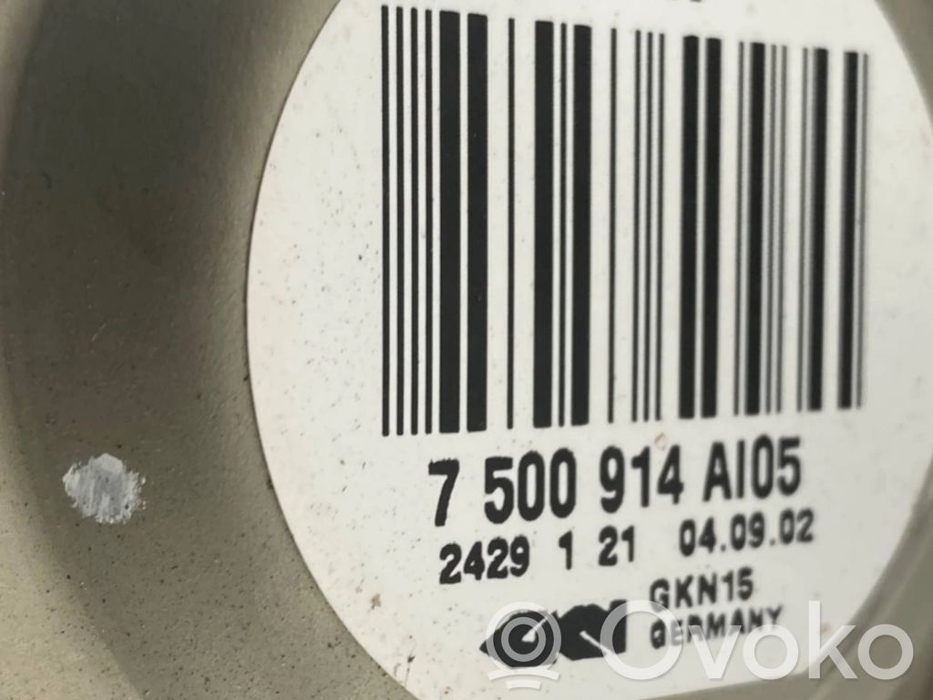 Aizmugurējā pusass