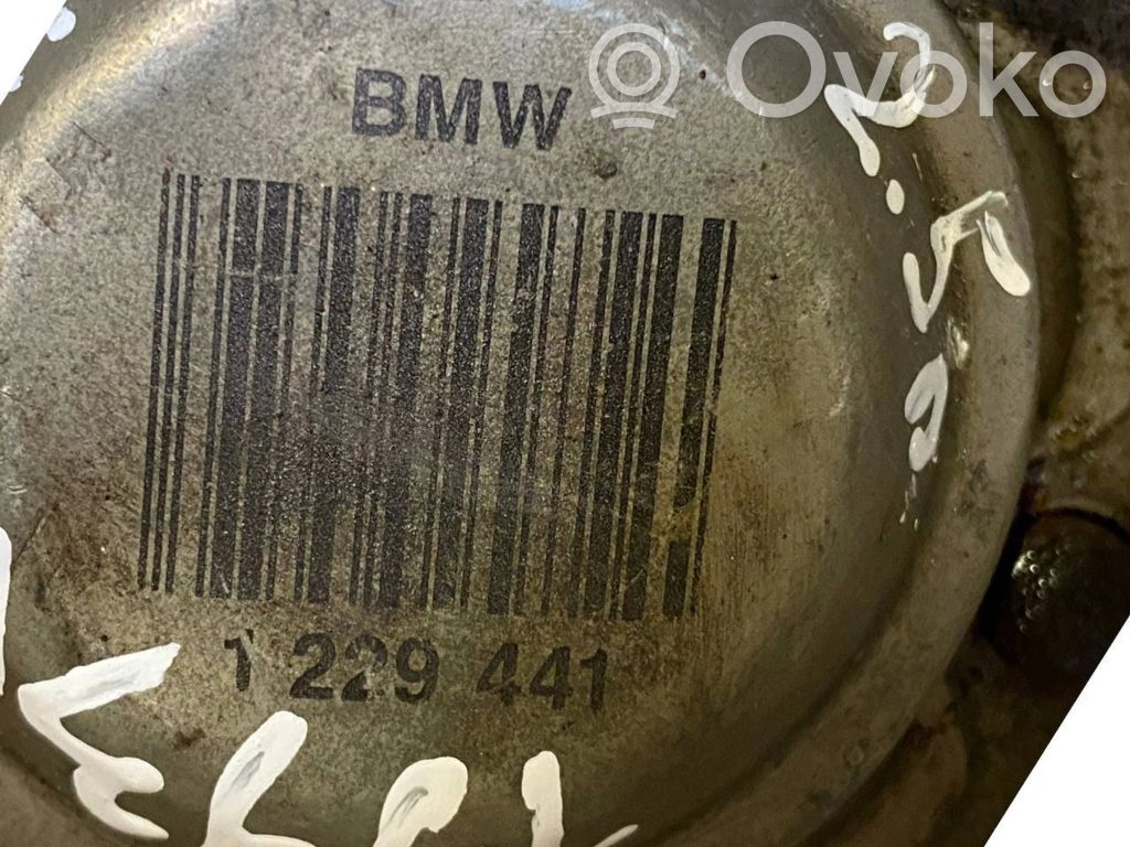 Aizmugurējā pusass