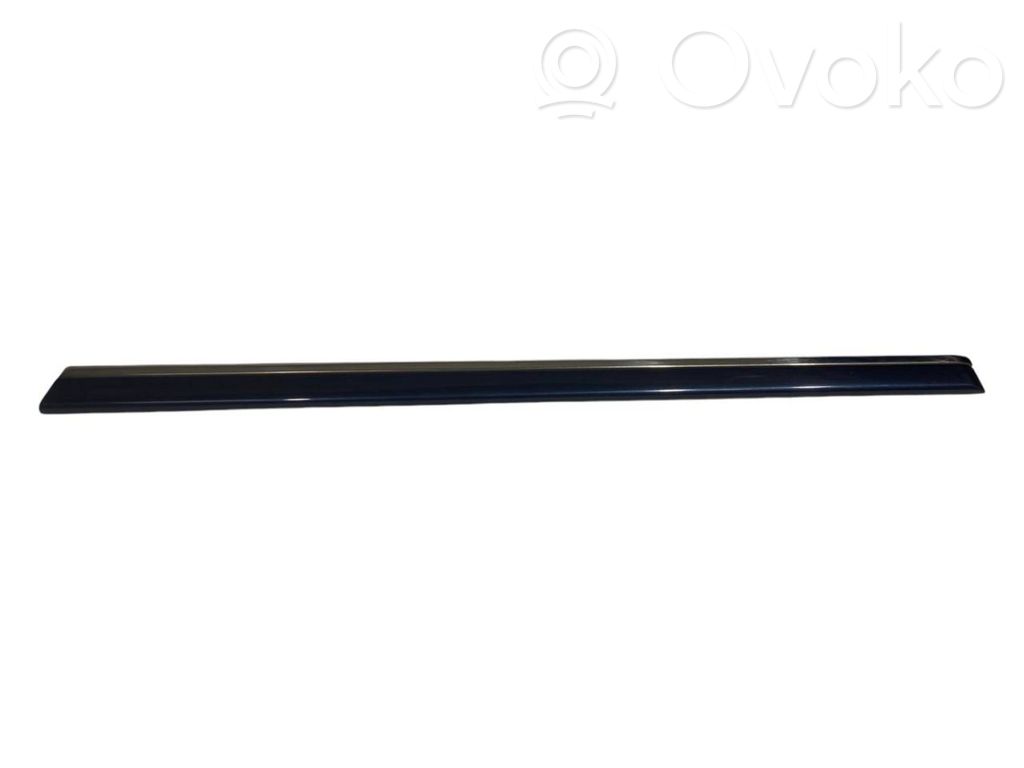 Aizmugurē durvju dekoratīvā apdare (moldings)