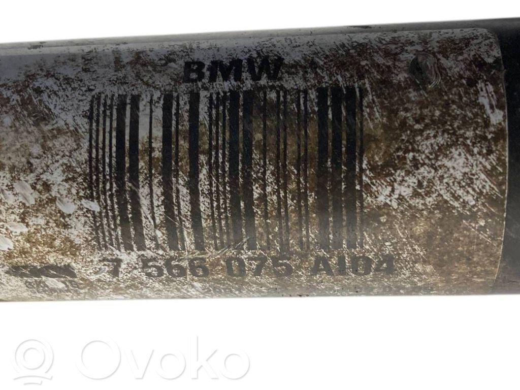 Aizmugurējā pusass