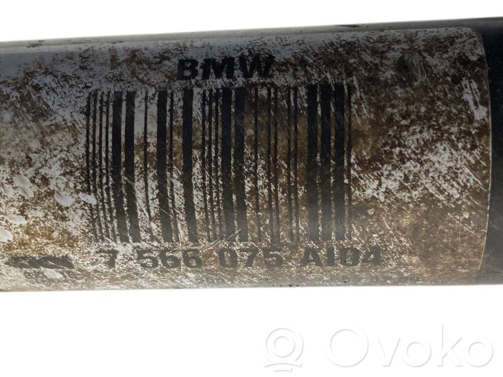 Aizmugurējā pusass