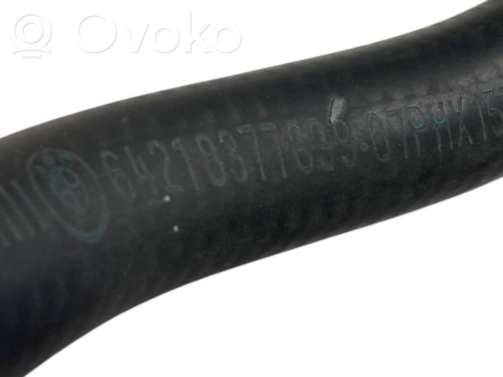 Caurulīte (-es) / šļūtene (-es)