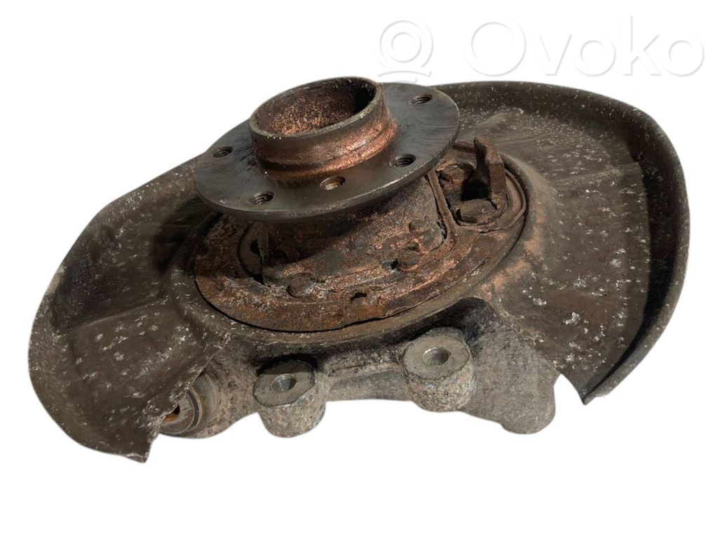 Rear wheel hub shaft joint (stupica, capfa)