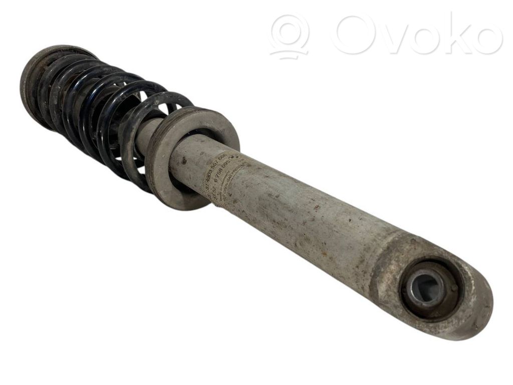 Rear shock absorber with spring