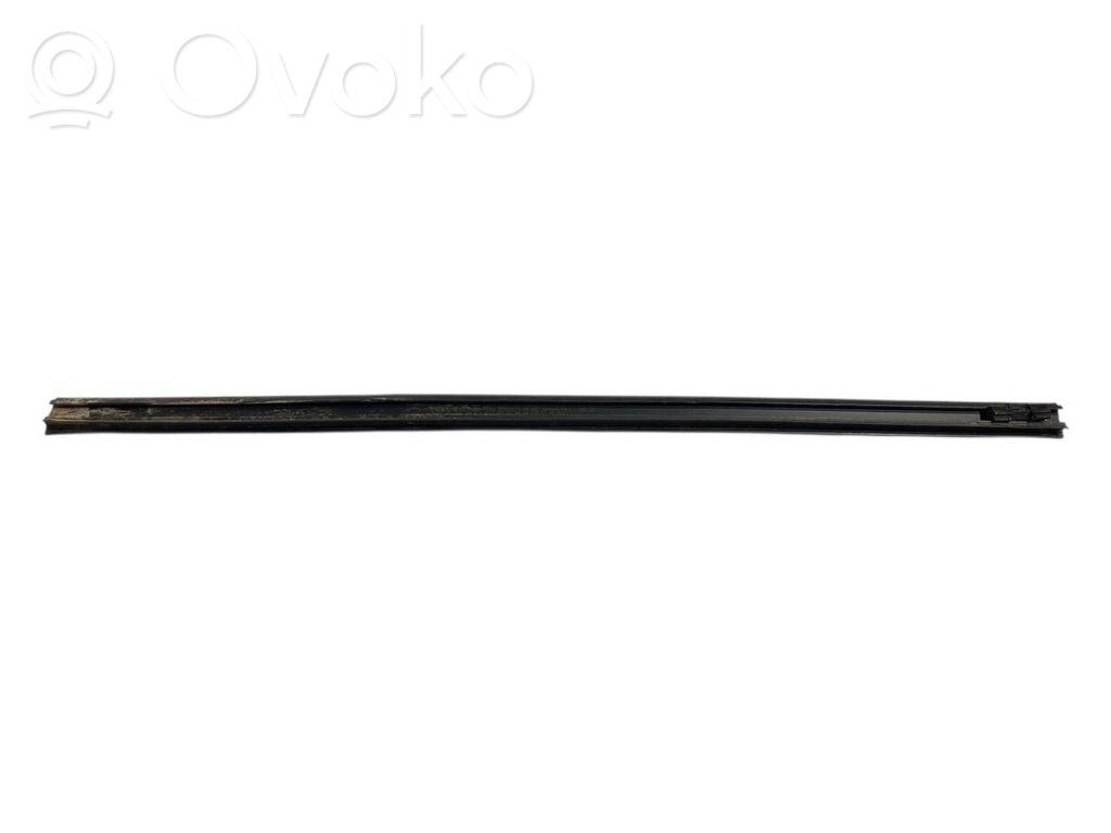 Aizmugurē durvju dekoratīvā apdare (moldings)