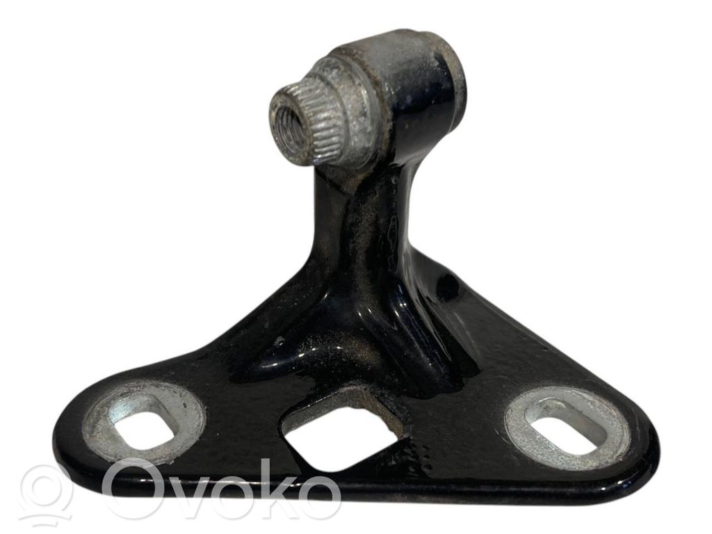 Front lower hinge