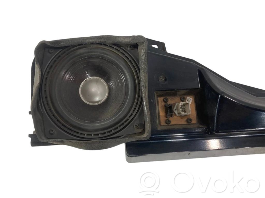 Speaker(s) in the rear door