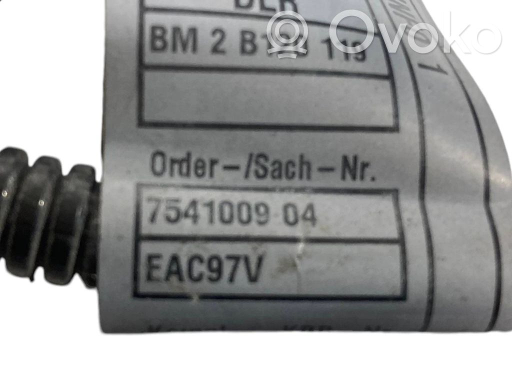 Other wiring wires