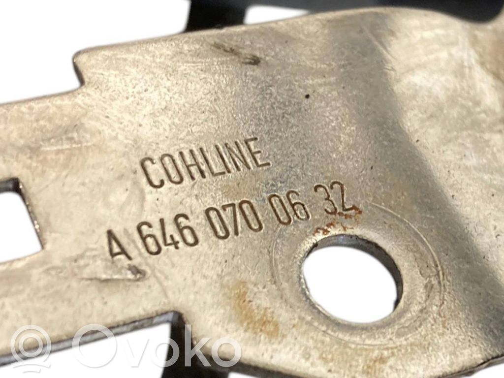 Degvielas caurulīte (-es)