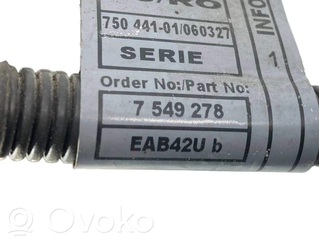 Engine wiring harness