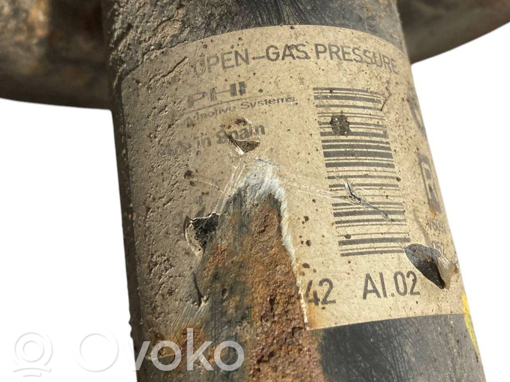 Front shock absorber with spring