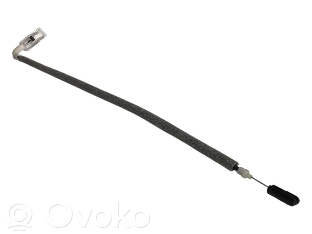 Trosīte