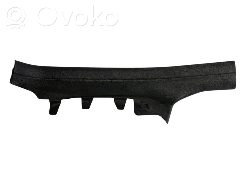 Rear door sill trim (inner)