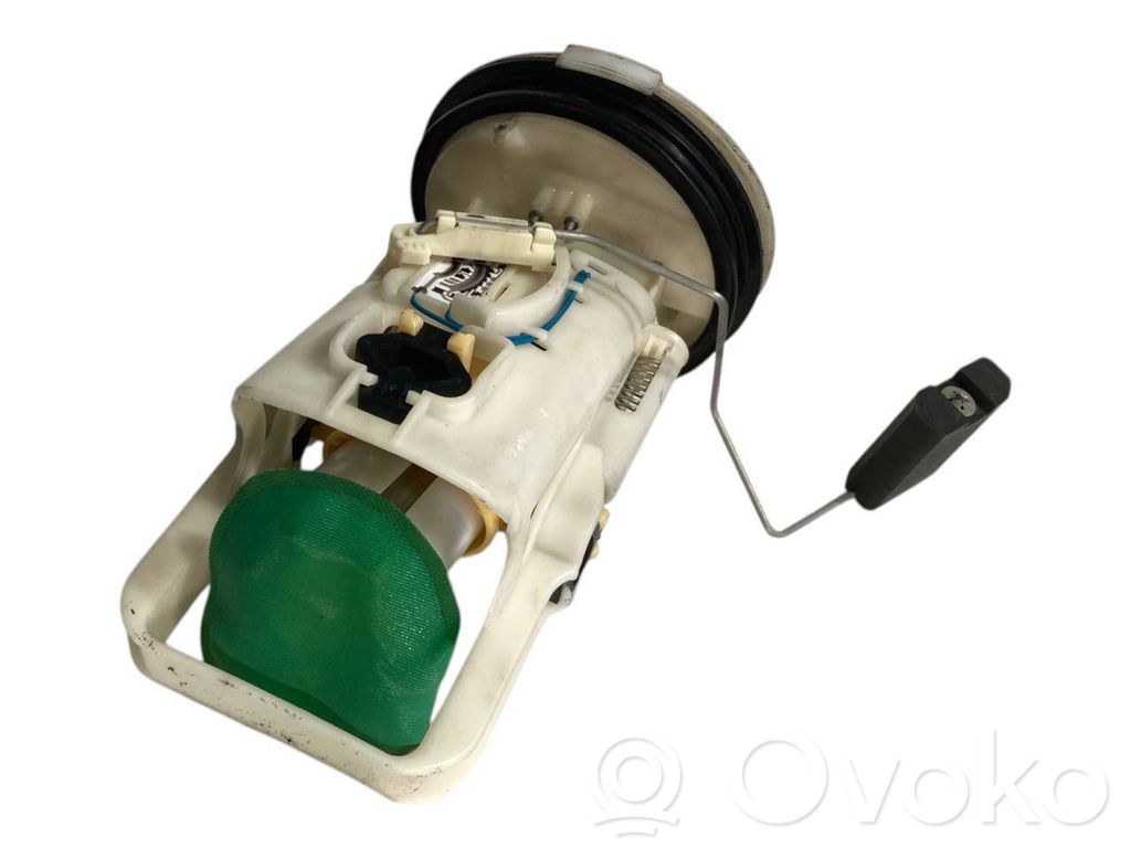 Fuel pump (in the fuel tank)
