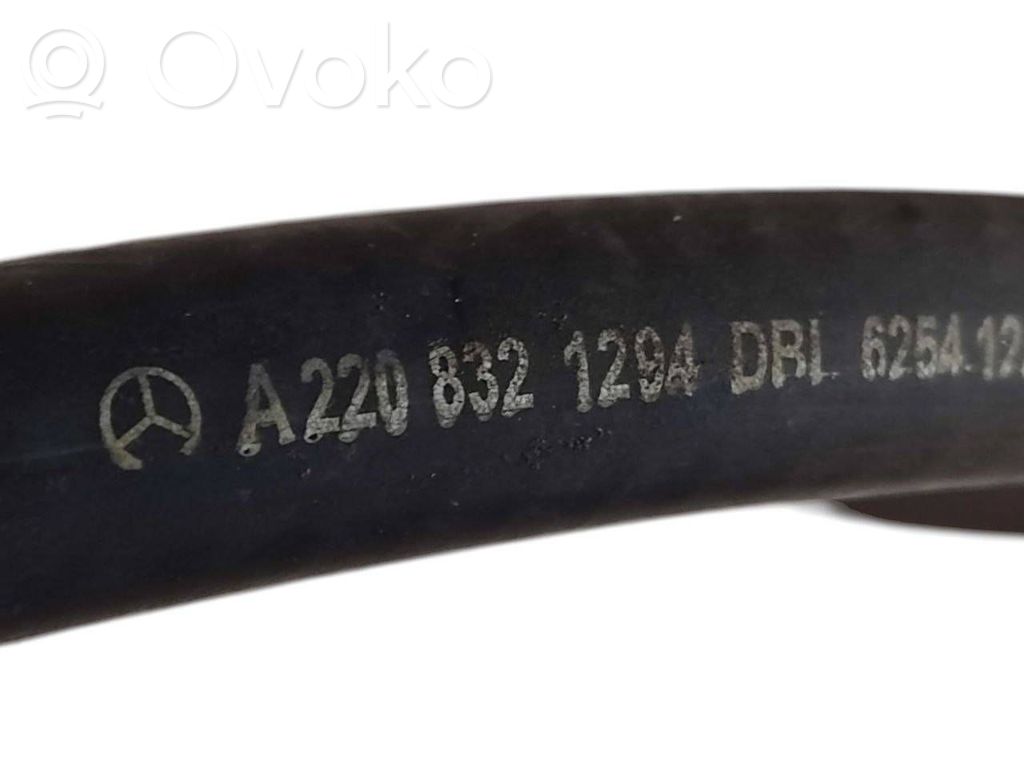 Caurulīte (-es) / šļūtene (-es)