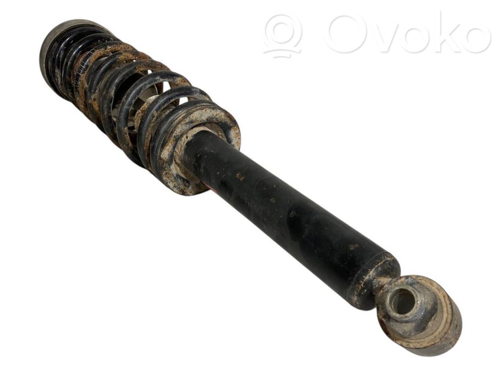 Rear shock absorber with spring