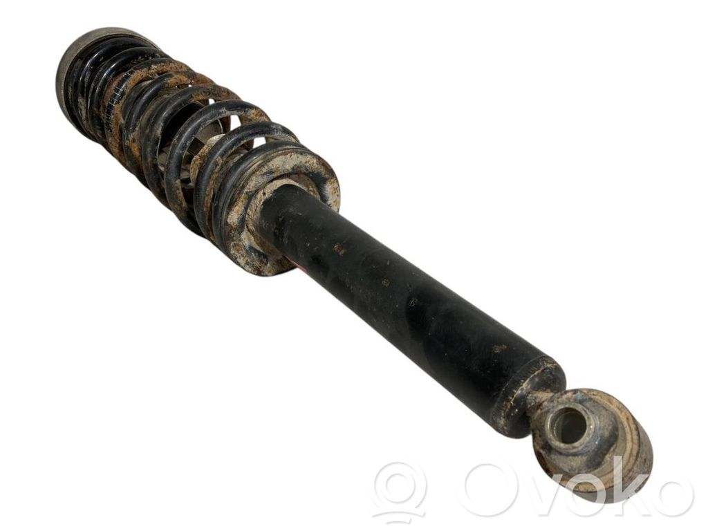 Rear shock absorber with spring