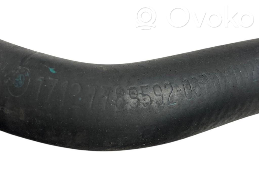 Caurulīte (-es) / šļūtene (-es)