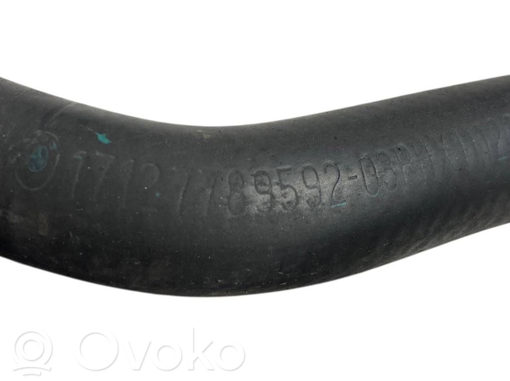 Caurulīte (-es) / šļūtene (-es)