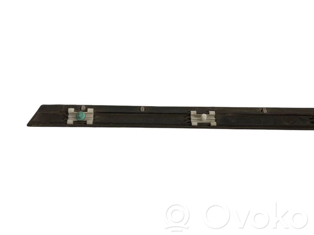 Aizmugurē durvju dekoratīvā apdare (moldings)