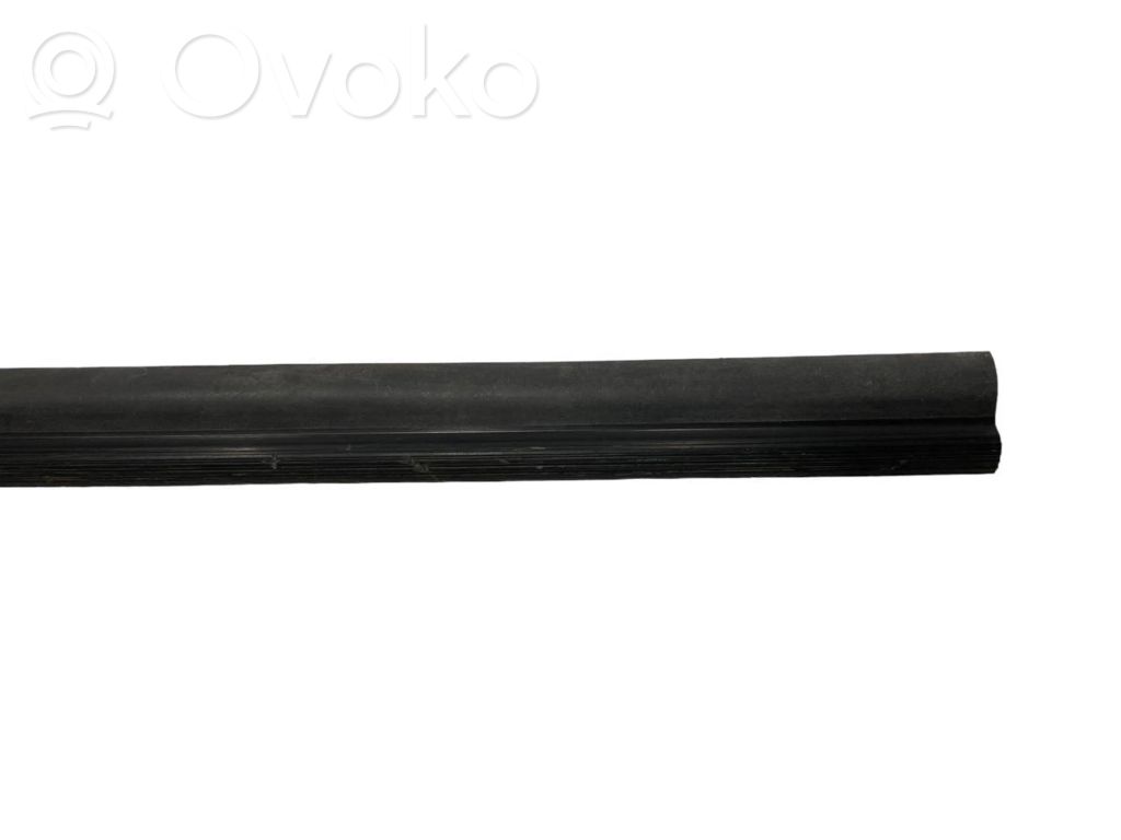 Front sill trim (inner)