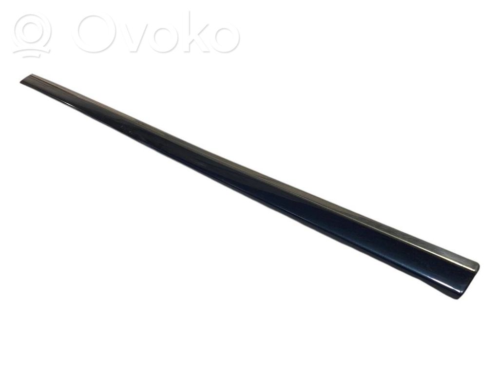 Priekšpusē durvju dekoratīvā apdare (moldings)