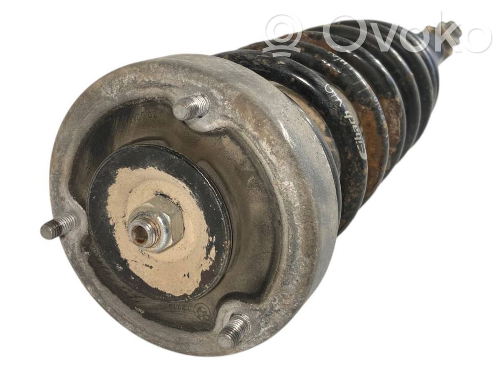 Rear shock absorber with spring