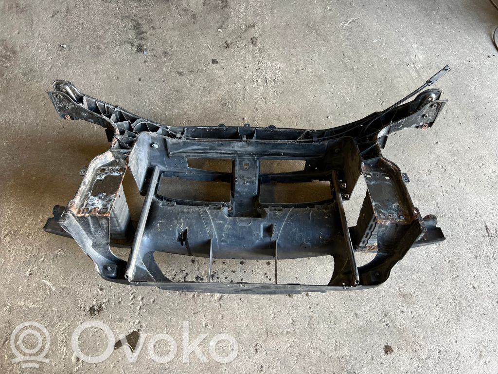 Radiator panel