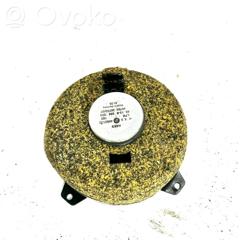 Speaker(s) in front door